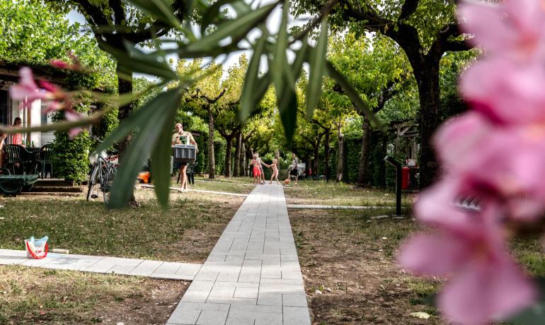 laquercia nl op-vakantie-met-uw-trouwe-viervoeter 020