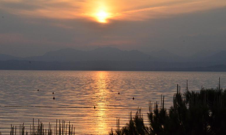 laquercia nl voorjaar-gardameer-lazise 023