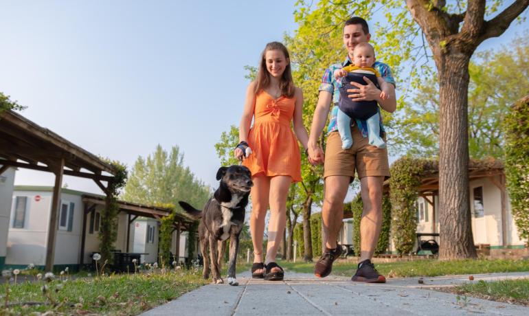 laquercia de angebot-fuer-campingplatz-in-der-nebensaison-lazise-am-gardasee 016