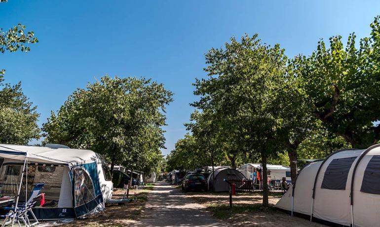 Camping met tenten en caravans onder bomen op een zonnige dag.