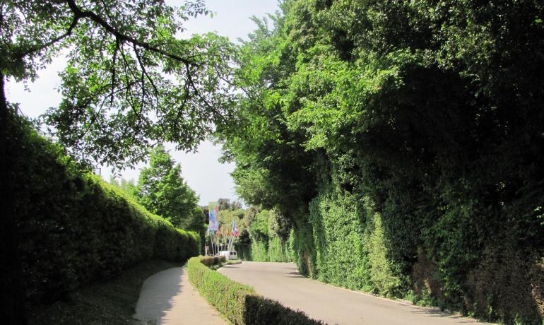 laquercia it campeggio-lago-di-garda-lazise-fronte-lago-con-late-check-out 021