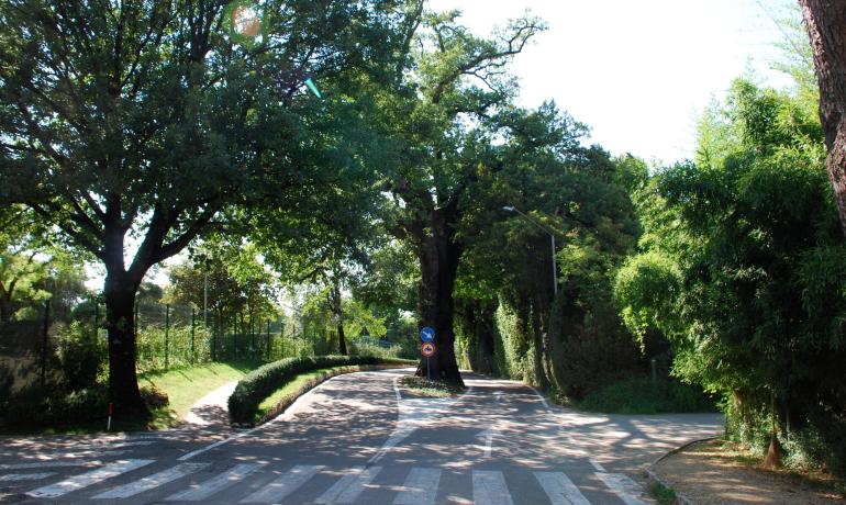 laquercia it campeggio-lago-di-garda-lazise-fronte-lago-con-late-check-out 022