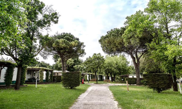 laquercia en pre-booking-summer-camping-lazise-lake-garda 020