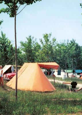 Camping met kleurrijke tenten, bomen en mensen die buiten ontspannen.