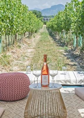 Picnic i en vingård med rosévin og puder.