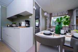 Cozy kitchen with plants and dishes, serene and bright atmosphere.