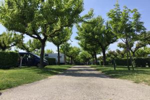 Met bomen omzoomd pad met geparkeerde campers aan de zijkanten, heldere lucht.
