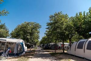 Camping met tenten en caravans tussen bomen op een zonnige dag.