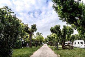 Camping met caravans en bomen langs een pad.