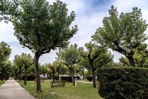 Park met bomen, pad en geparkeerde campers.